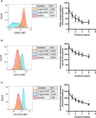 Neutrophil Inflammatory Response Is Downregulated by Uptake of Superparamagnetic Iron Oxide Nanoparticle Therapeutics